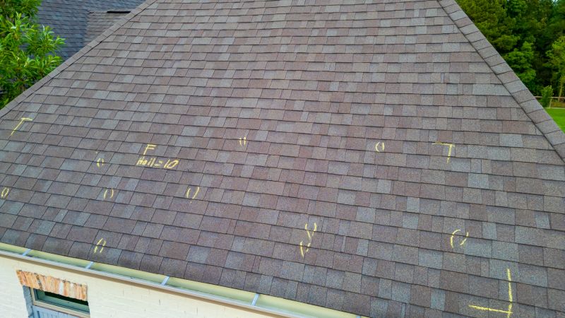 Asphalt Roof Inspection in Bridgeville, DE