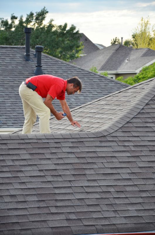 Asphalt Roof Inspection in Ellendale, DE