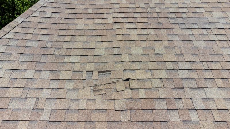 Asphalt Roof Inspection in Parsonsburg, MD