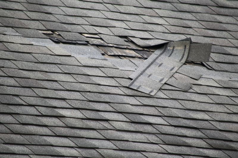 Asphalt Roof Leak Repair in Deal Island, MD