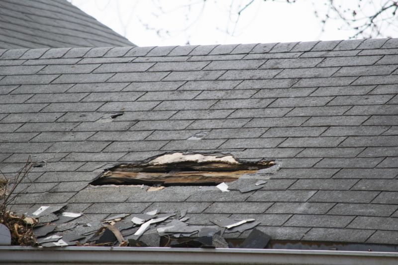 Asphalt Roof Leak Repair in Salisbury, MD
