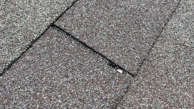 Asphalt Roof Repair in Frankford, DE