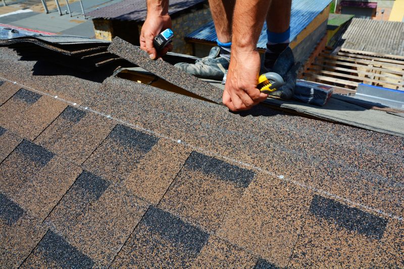 Asphalt Roof Repair in Georgetown, DE