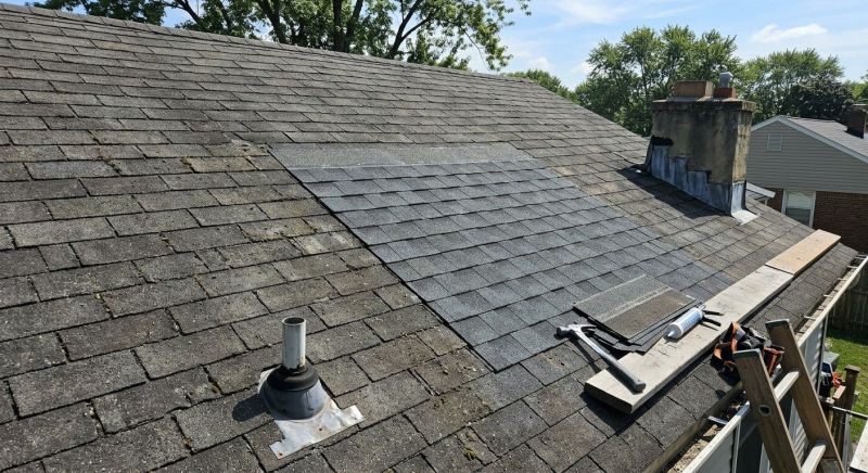 Asphalt Roof Repair in Houston, DE