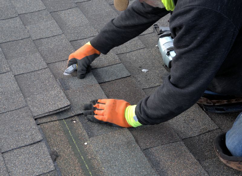 Asphalt Roof Repair in Millsboro, DE
