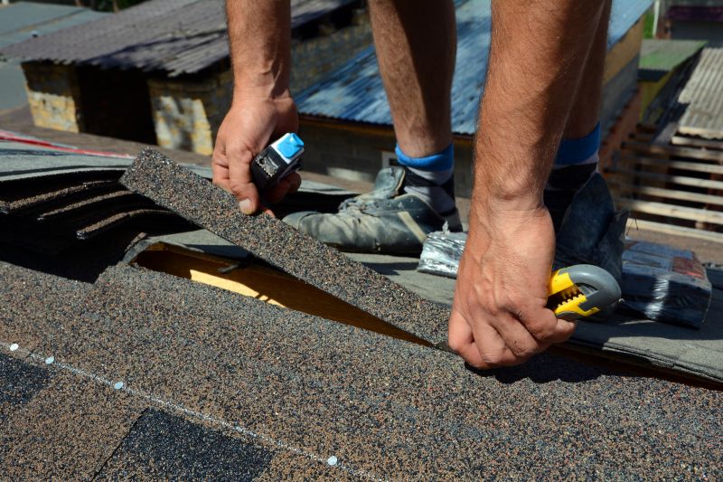 Asphalt Roof Repair in Vienna, MD