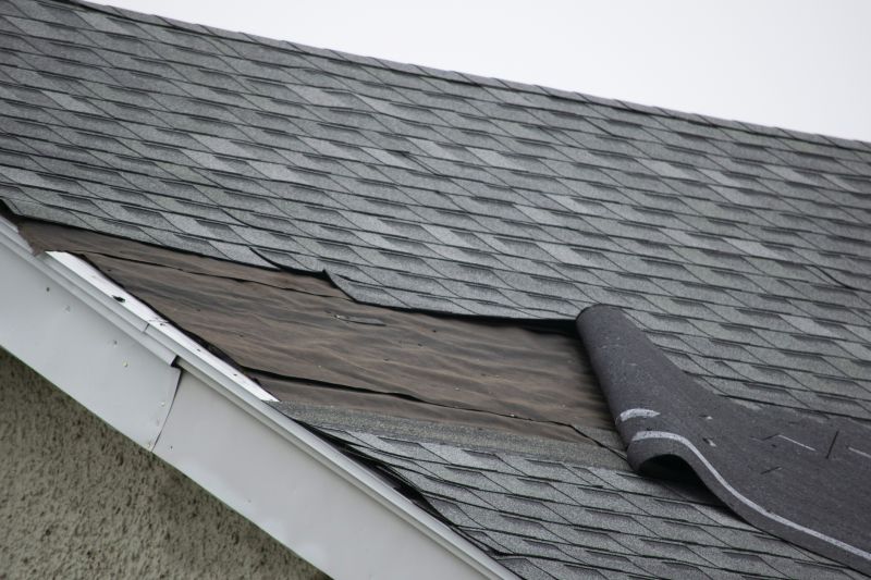 Asphalt Shingles Repair in Allen, MD