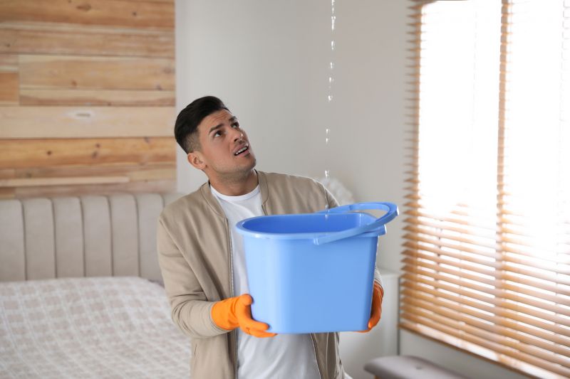 Bedroom Leak Repair in Seaford, DE