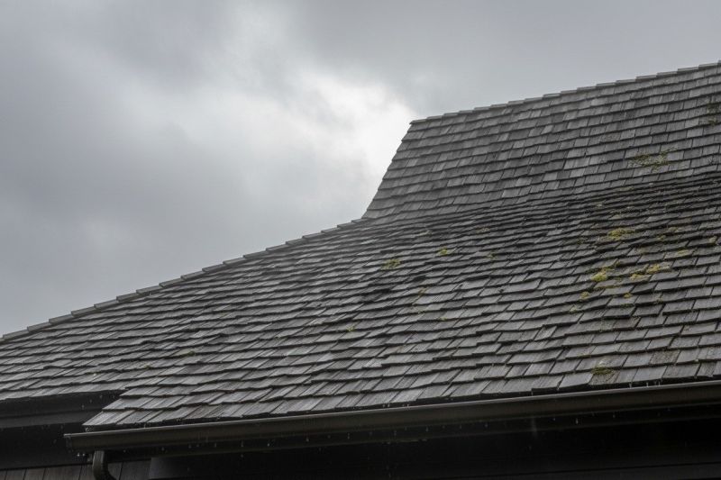 Cedar Roof Replacement in Milton, DE