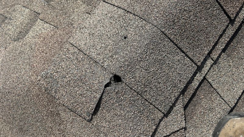 Damaged Roof Repair in Dagsboro, DE