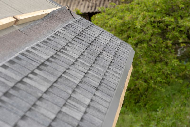 Damaged Roof Repair in Delmar, DE