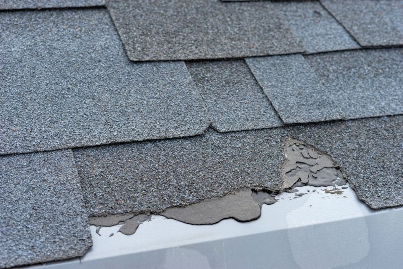Damaged Roof Repair in Georgetown, DE