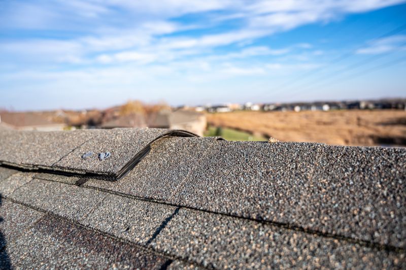 Damaged Roof Repair in Georgetown, DE
