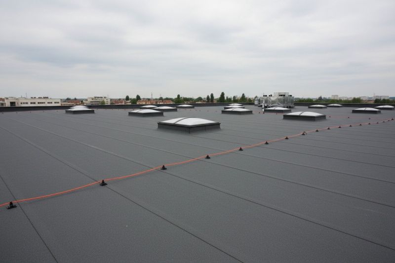 Flat Roof Replacement in Delmar, DE