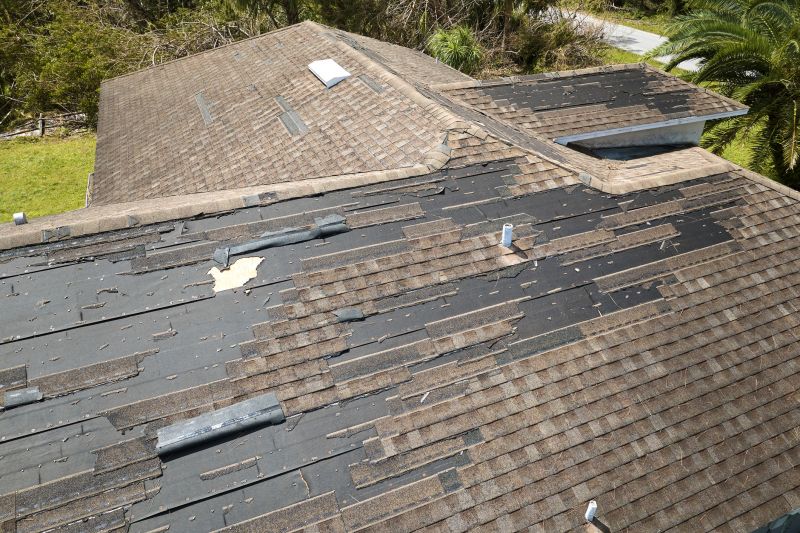 Hail Damage Roof Repair in Dagsboro, DE