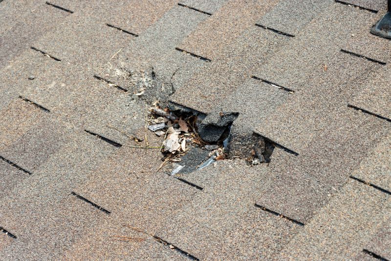 Leaky Roof Replacement in Seaford, DE