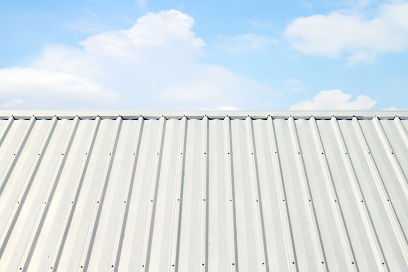 Metal Roof Coating Service in Seaford, DE
