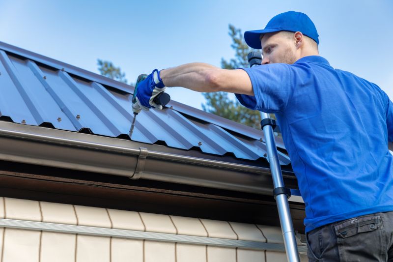 Metal Roof Installation in Frankford, DE
