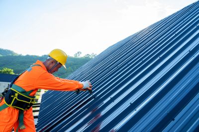 Metal Roof Repair in Vienna, MD