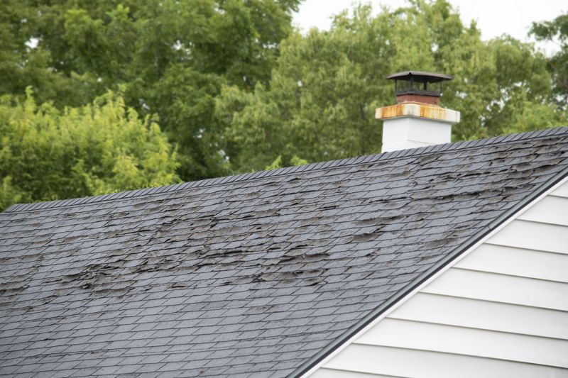 Roof Hail Damage Repair in Seaford, DE