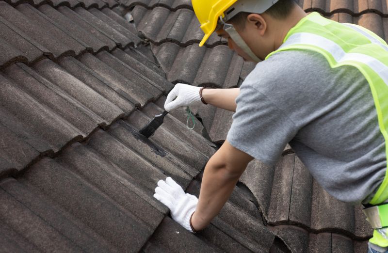 Roof Patching Service in Seaford, DE