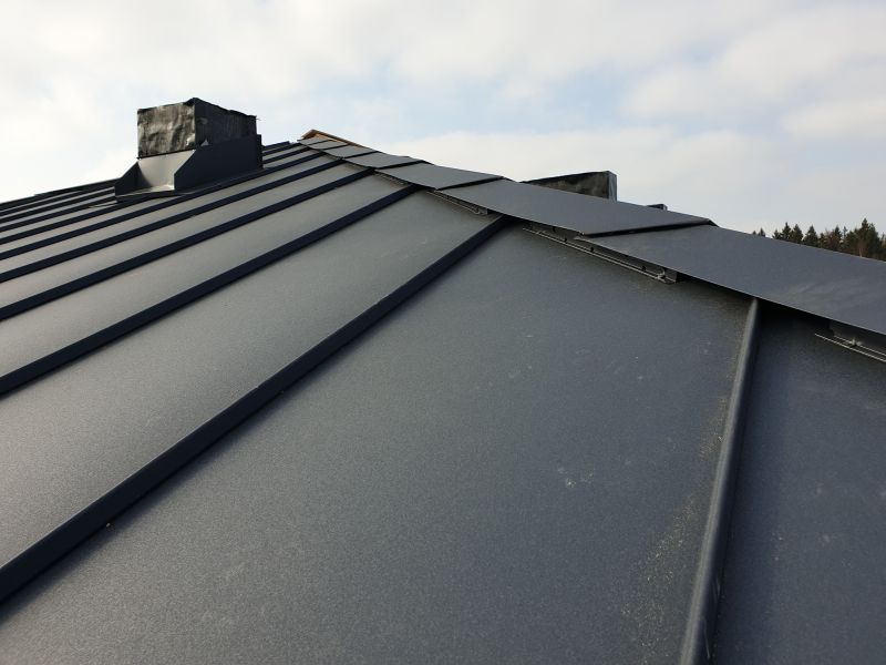 Roof Weatherproofing in Houston, DE