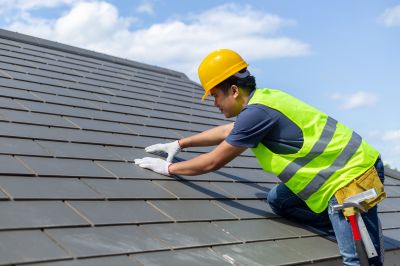 Roofing Evaluation in Dagsboro, DE