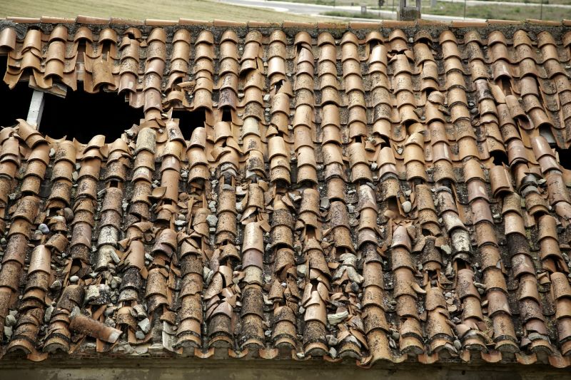 Roofing Evaluation in Harbeson, DE
