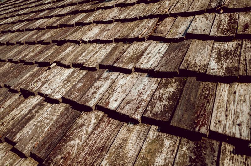 Shake Roof Replacement in Dagsboro, DE