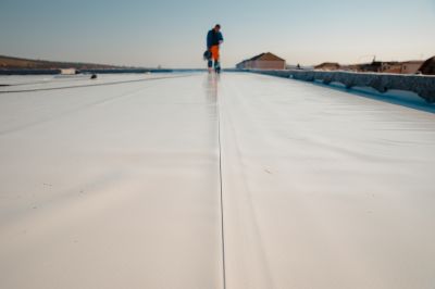 Single Ply Roof Repair in Frankford, DE
