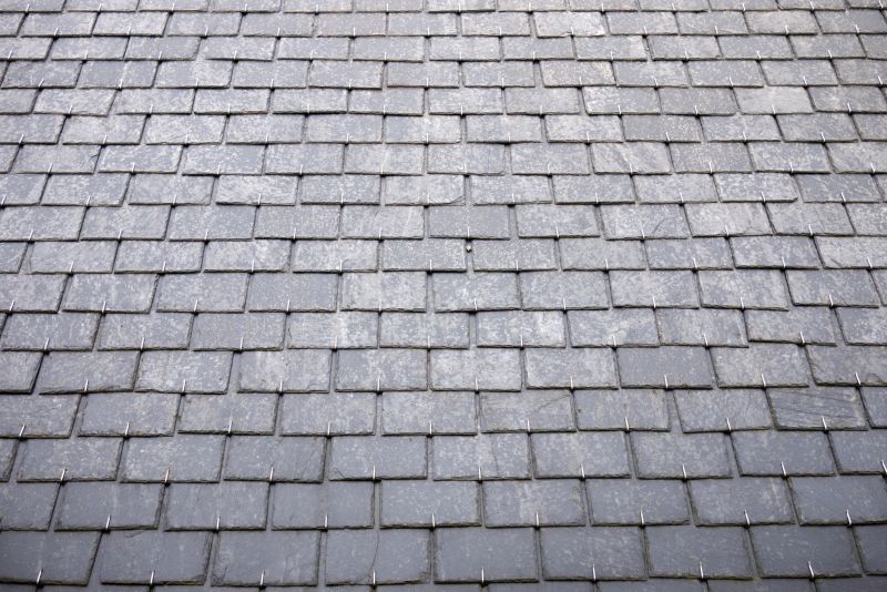 Slate Roof Inspection in Seaford, DE