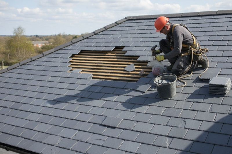 Slate Roof Maintenance in Seaford, DE