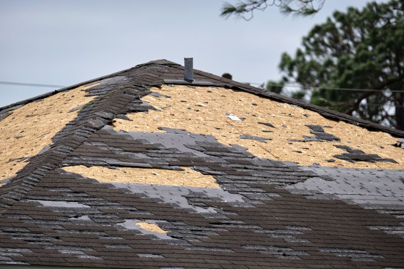 Storm Damage Roof Repair in Harbeson, DE