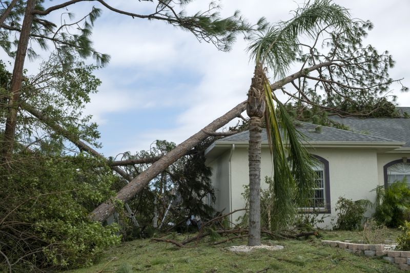 Storm Damage Roof Repair in Laurel, DE