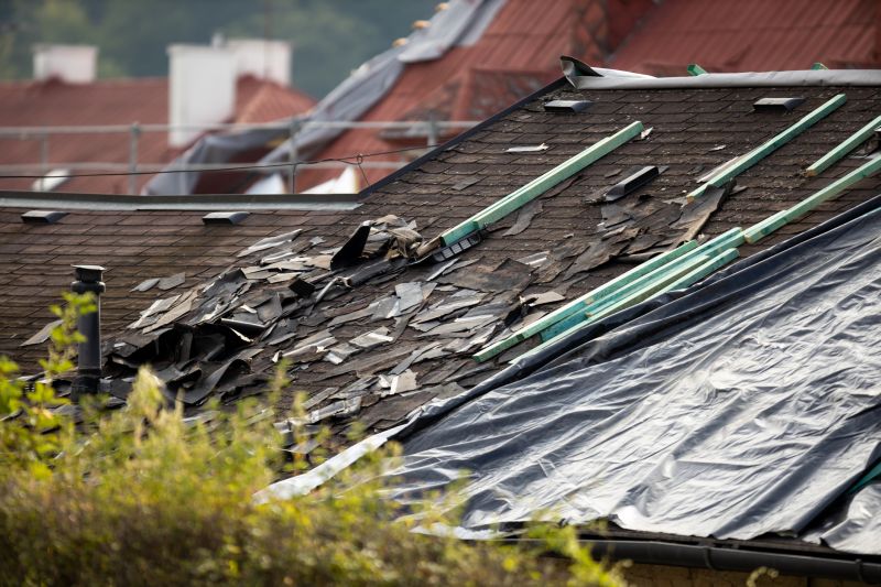 Storm Damage Roof Tarping in Seaford, DE
