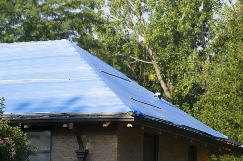 Storm Damage Roof Tarping in Seaford, DE