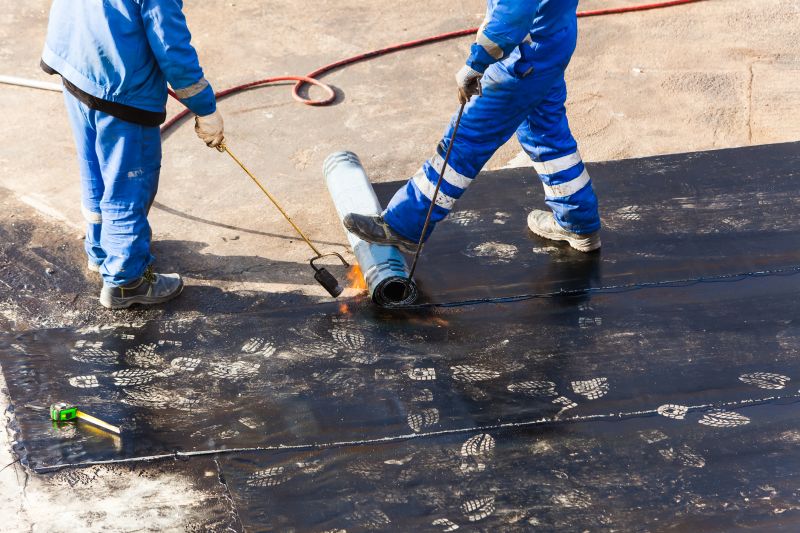 Tar Roof Waterproofing in Seaford, DE
