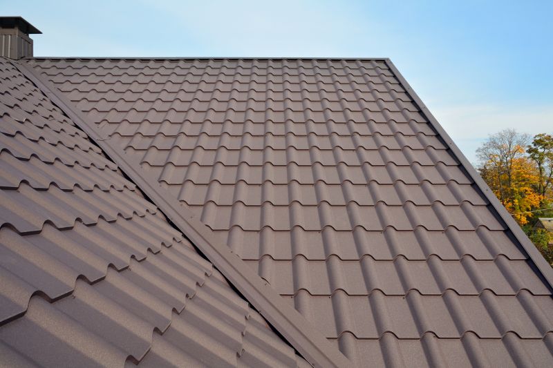 Tin Roof Installation in Greenwood, DE