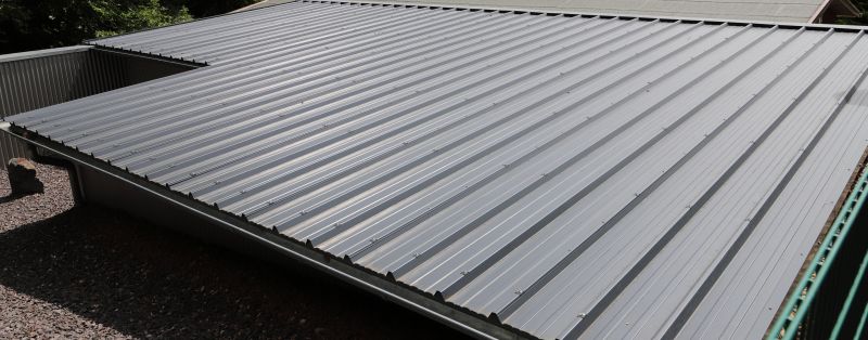 Tin Roof Installation in Laurel, DE