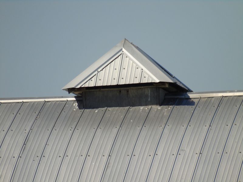 Tin Roof Installation in Vienna, MD