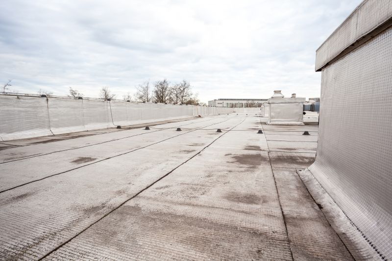 Tpo Roof Repair in Lewes, DE