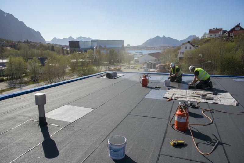 Tpo Roof Replacement in Bridgeville, DE