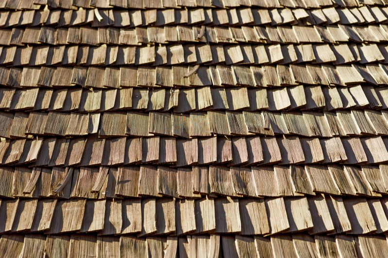 Wood Shake Roof Replacement in Dagsboro, DE